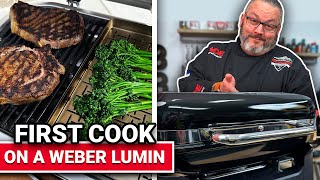 First Cook On A Weber Lumin  Ace Hardware [upl. by Noeruat]