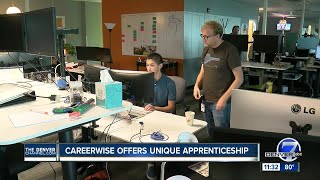 Careerwise apprenticeship program [upl. by Wenger]