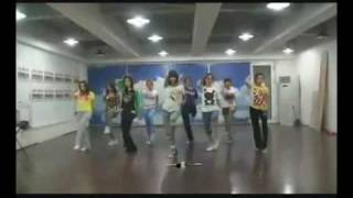 SNSD Genie Practice With Official Genie Song HQ [upl. by Viradis]