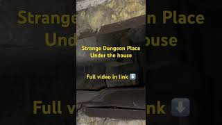 Weird Strange Dungeon Under The House abandoned house shorts [upl. by Adnavoj754]