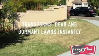 Lawn Star Grass Paint Video [upl. by Irrem]