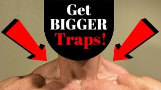 How To Get Bigger Traps One Exercise  V SHRED [upl. by Hsirrap]