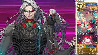 【FGO】Cagliostro Black Grail Looping Demo with Double Castoria [upl. by Hylan]