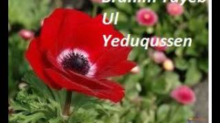 BRAHIM TAYEB  Ul yeduqussen [upl. by Eradis685]