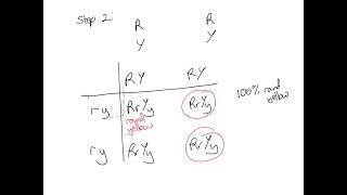 A level Patterns of inheritance [upl. by Ullyot]