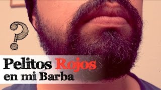 Pelitos Rojos en mi Barba [upl. by Ahtilat]