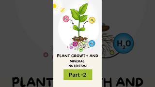 Plant Growth amp Meristem Types in 50 Seconds  Quick Revision for NEET amp CUET [upl. by Atikat]