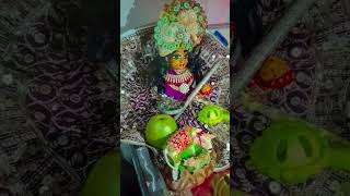 tu dekh Bharosa karke tari sayam radhe shyam radhe [upl. by Ellenwad960]