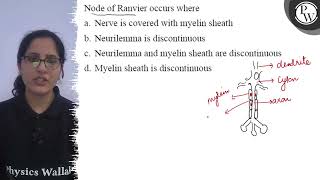 Node of Ranvier occurs where a Nerve is covered with myelin sheath [upl. by Arst]