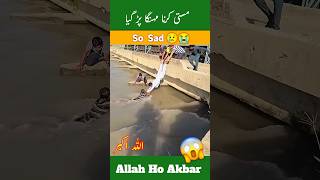 Allah hu akber allah pak ny bacha leya shorts 😱😱😱😱shortvideo [upl. by Lleval]