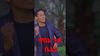 habesha duet ebs viwers music [upl. by Yntrok668]