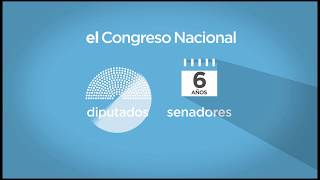 Diferencia entre cámara de senado y diputados [upl. by Nissa]