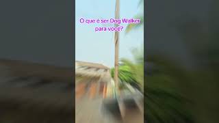 Dog walker daily [upl. by Puglia]