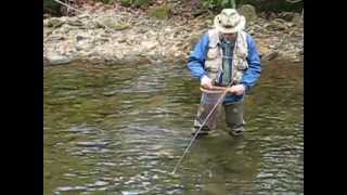 North Mills River Fly Fishing [upl. by Eeralav]