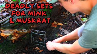 DEADLY SETS FOR MINK amp MUSKRAT  COMPLETE HOW TO [upl. by Zurek]