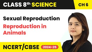 Sexual Reproduction  Reproduction in Animals  Class 8 Science Chapter 6 cbse [upl. by Sergo]