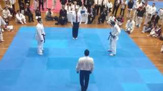 GKR World Cup 2013 Mens team Kumite final [upl. by Kamillah]