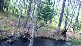 Little Pine Creek 2014 Documentary [upl. by Buna]