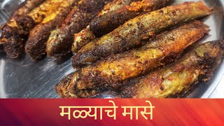 मळ्याचे मासे  malyache mase recipe in marathi  malyache mase  fish recipe  bites with Pranu [upl. by Haral]