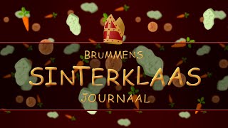 Sinterklaas journaal Brummen aflevering 1 [upl. by Luapnhoj592]