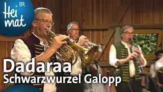 Dadaraa Schwarzwurzel Galopp  Trachtler und Musikantentreffen  BR Heimat  die beste Volksmusik [upl. by Sauncho139]