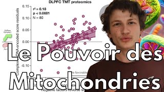 les mitochondries pour le bien être nouvelle étude clinique [upl. by Elam841]