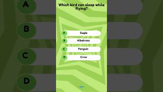 General Knowledge  GK which bird can sleep while flying  quiz shorts [upl. by Gwynne]