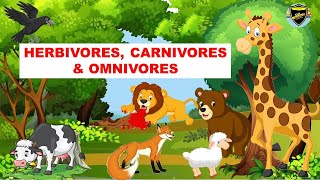 Herbivores  Carnivores  Omnivores  Types of Animals [upl. by Yellas329]