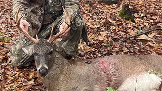 Alabama Palmated 10 point [upl. by Sel739]