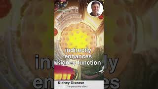 Stem Cell Explainer Series How Do Treatments WorkKidney Disease  The Paracrine Effect [upl. by Affrica]