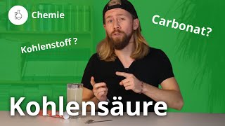 Kohlensäure Vom Kohlenstoff zum Carbonat – Chemie  Duden Learnattack [upl. by Yeltsew908]