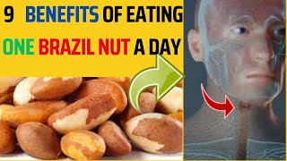 quotUnlock the Power of One Brazil Nut a Day 9 Surprising Benefitsquot [upl. by Hunley]