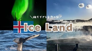 【Vlog】雄大すぎる自然の国🇮🇸アイスランド  オーロラ、火山ツアー、ブルーラグーンなどを堪能！  Ice Land [upl. by Johannessen]