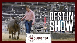 Best in Show  Around Texas S5E6 [upl. by Hsac]