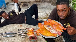 REDFISH THE UNINVITED GUEST TAKING OVER JAMAICAN WATERS Catch clean and cook [upl. by Sukram876]