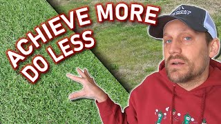 You DONT Have to Do These SPRING LAWN TIPS  Aeration Overseeding amp Dethatching Arent Necessary [upl. by Lindbom]