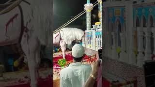 💚🕋Lutee karbala main nabi ki nishani tajiya muharram Hussain ki jung Karbala nabiki nisani [upl. by Eskill]