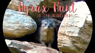 Hyrax Hunt in the Winelands  Random Hunts Vol12 [upl. by Rramal]