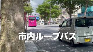 【宮古島】路線バスの旅③→ドイツ村に行ってみよう。 [upl. by Nnairrek]