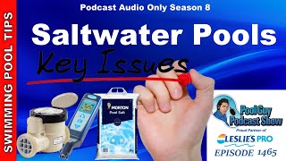 Saltwater Pools Key Issues [upl. by Allicirp]