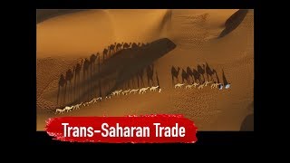 TransSaharan Trade Network [upl. by Shepley]