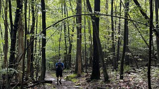 Appalachian Trail PA Pine Grove Section Hike S [upl. by Anauq179]