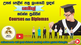 Top government free courses amp Diplomas after AL exam  free courses amp diploma in sri lanka [upl. by Eisenstark381]