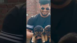 Pawan Sahu Ka dog 🐶🐕shortsytshortfactsyrendingviralvideonewfacts [upl. by Wheelwright]