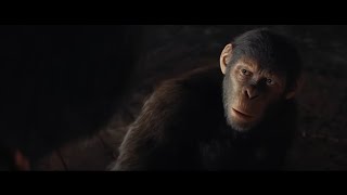 LA PLANÈTE DES SINGES 4  Le Nouveau Royaume Bande Annonce VF 2024 Nouvelle [upl. by Tess962]