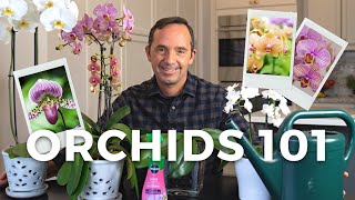 Caring for Orchids A StepbyStep Guide [upl. by Mollee]