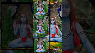 Sade pind vich kudiya ak jogiya bhajan shorts trending bababalaknath shortvideo viralvideo [upl. by Ardnasirk]