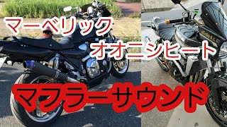 マフラー音XJR1200マーベリック ZRX1200ダエグオオニシヒートマジック [upl. by Assirolc]