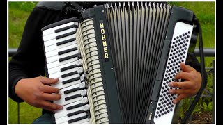 Video14 Accordion In Music [upl. by Benyamin468]