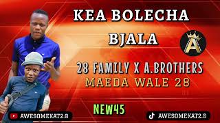 28 FAMILY MAEDA  KEA BOLECHA BJALA NEW45 [upl. by Giwdul]